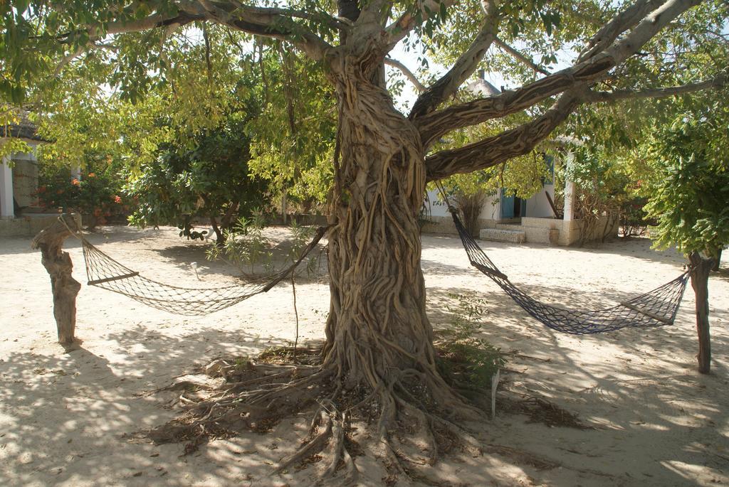 Bazouk Du Saloum Ecolodge Mar Lodj Bilik gambar