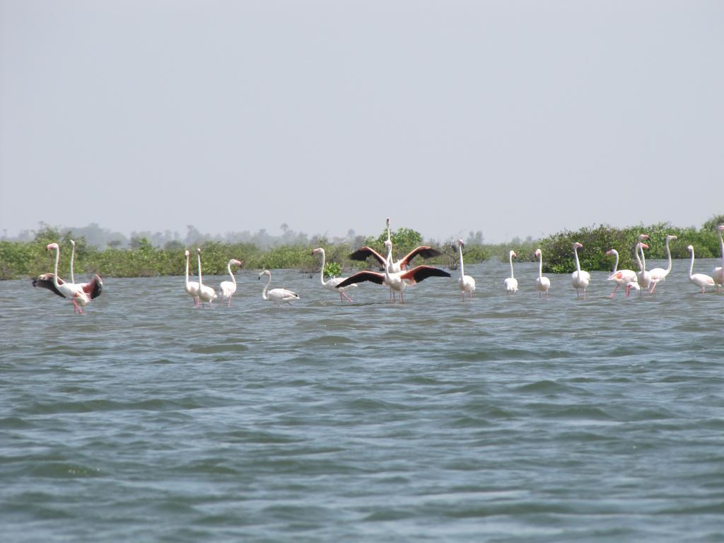 Bazouk Du Saloum Ecolodge Mar Lodj Luaran gambar